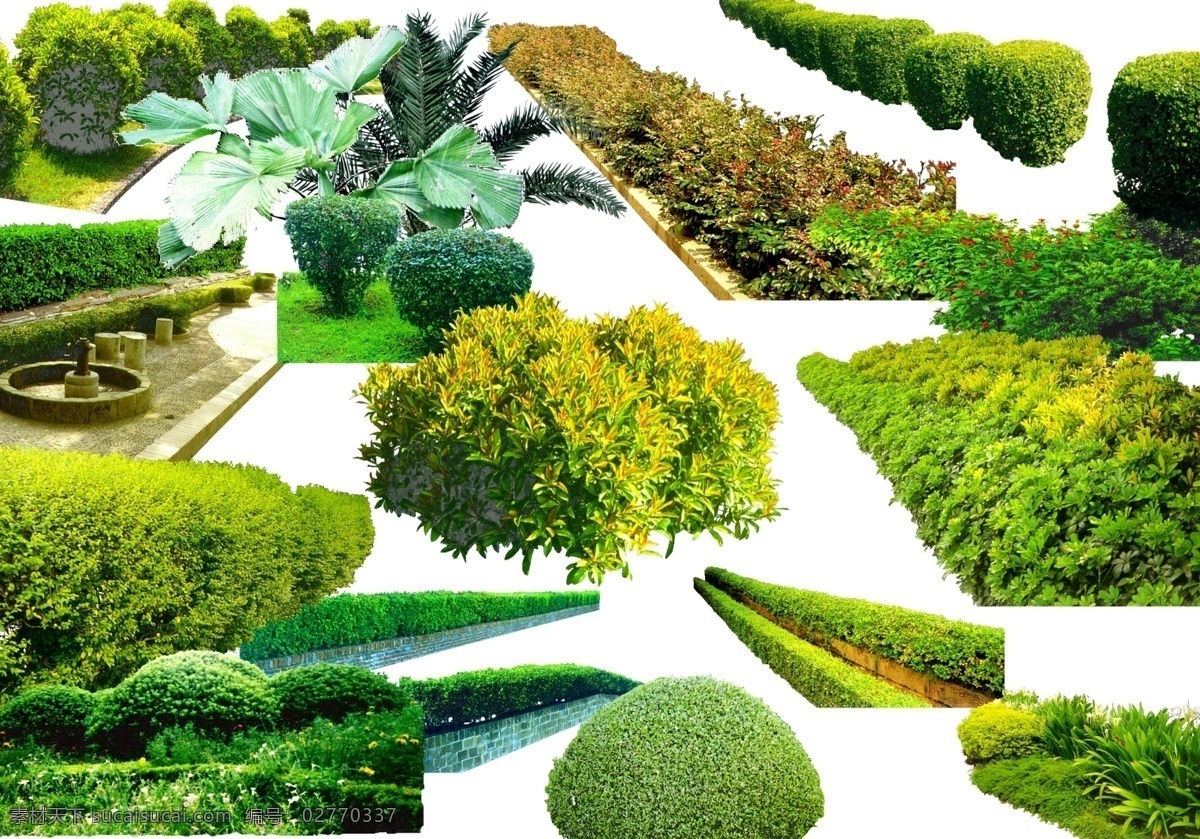 盆景 园林 花 竹子 护栏植物 绿色 植物 灌木 绿色的植物 草 红色的花 绿化带 原 文件下载 植物素材 棕叶 分层 源文件