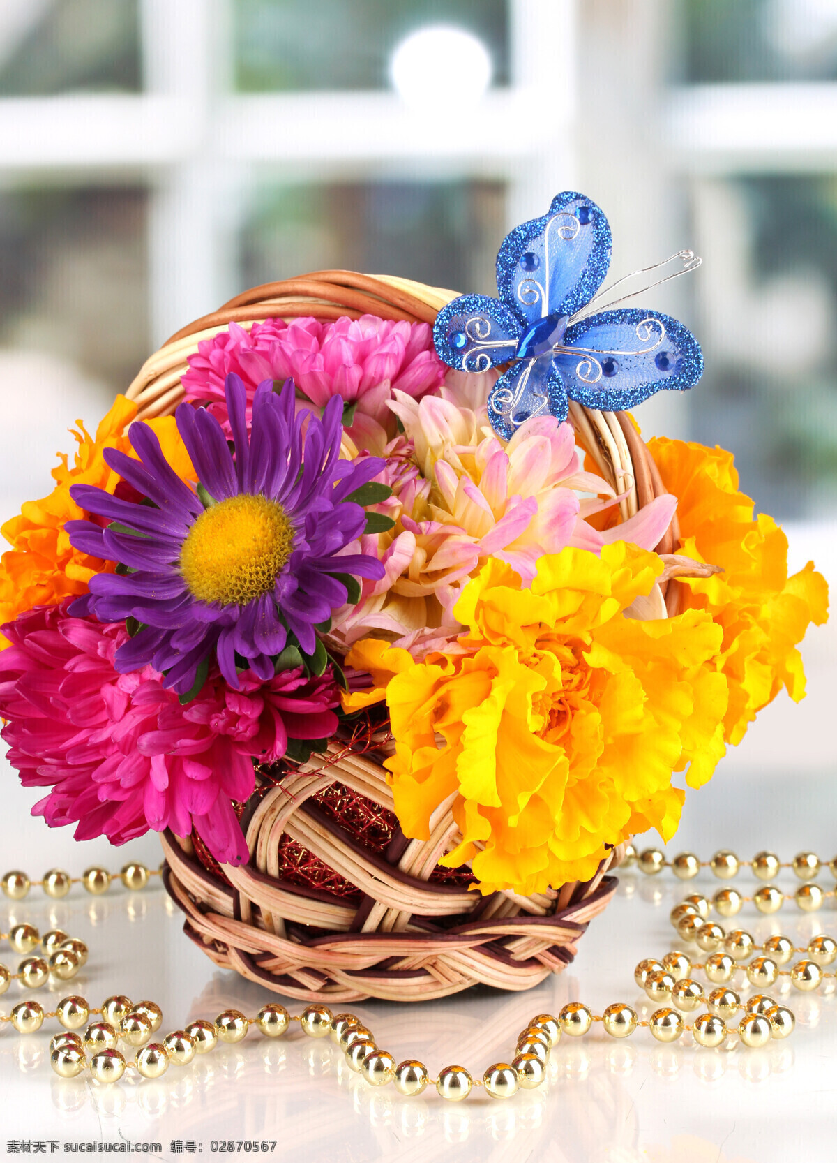 美丽鲜花篮子 菊花 葵花 向日葵 美丽鲜花 花朵 花卉 花篮 花草树木 生物世界 白色