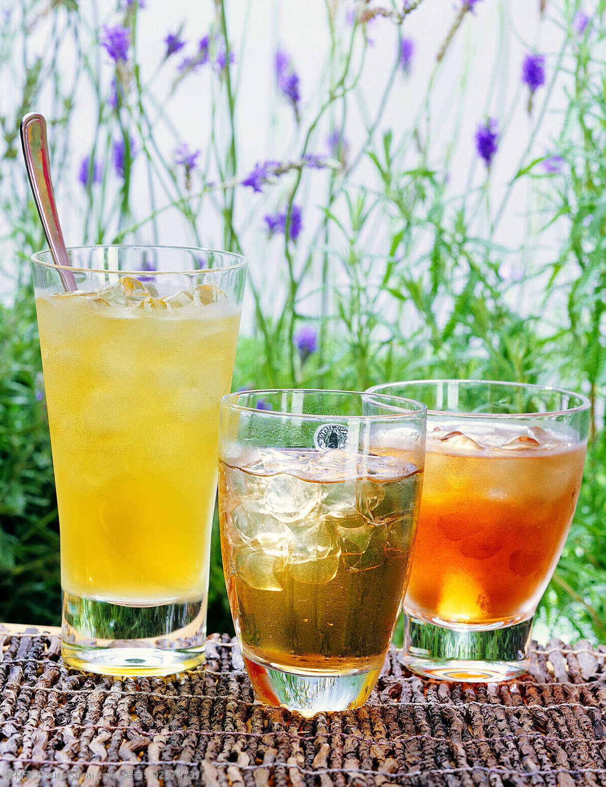 全球 首席 大百科 玻璃杯 茶杯 茶叶 茶饮 喝茶 花草 花茶 健康 品茶 清茶 生物世界