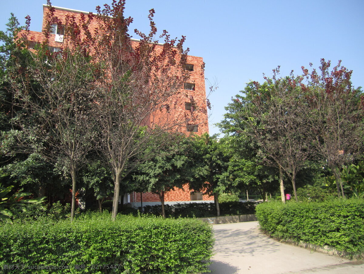 重庆 南方 翻译 学院 川外 重庆大学校园 校园风景 大学校园 宿舍楼 女生宿舍楼 摄影图片 学校摄影 建筑摄影 建筑园林 黑色