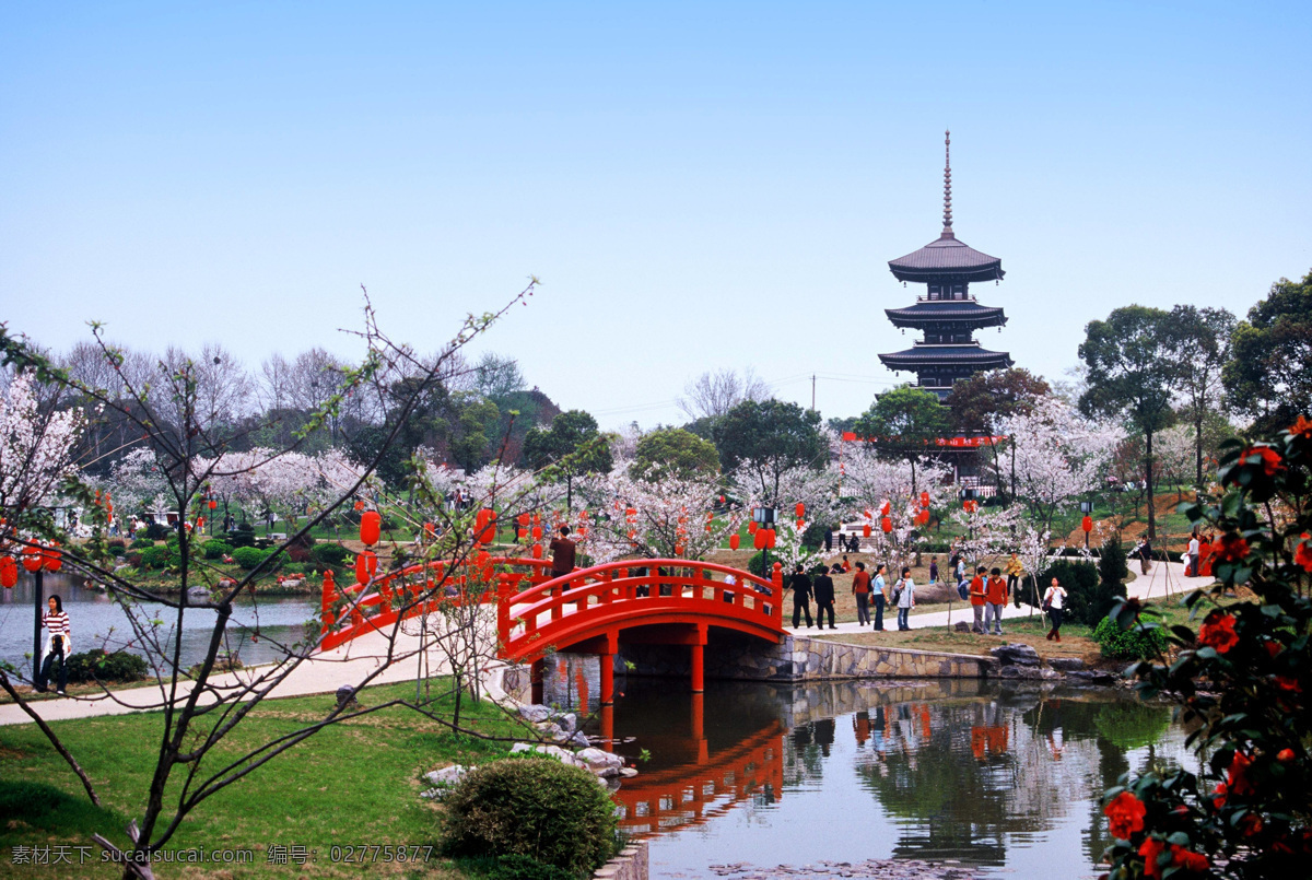 公园 蓝天 鲜花 小桥 桃花 楼塔 自然风景 自然景观 风景名胜