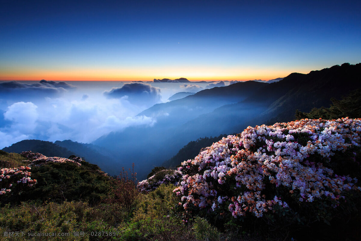 山间 日出 高清 花海 黄昏 夕阳