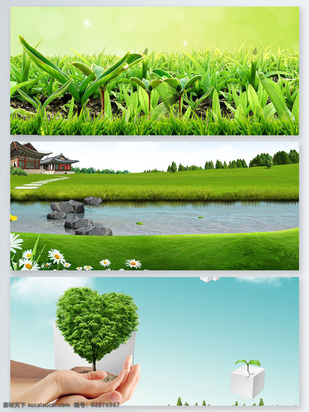 环境保护 绿色 小苗 发芽 展板 背景 白云 草地 春天 大树 环保 蓝天 绿草 绿色环保 萌芽 手捧 树枝