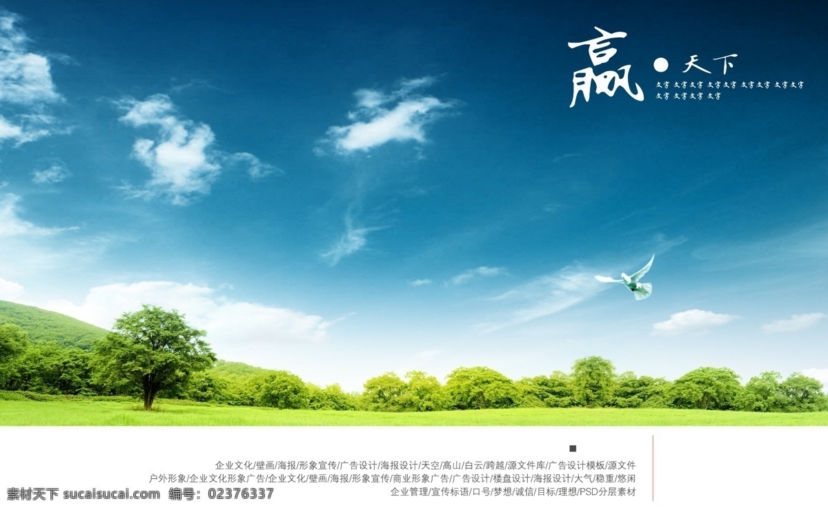 企业海报 企业 海报 蓝天 草地 树林 分层 源文件