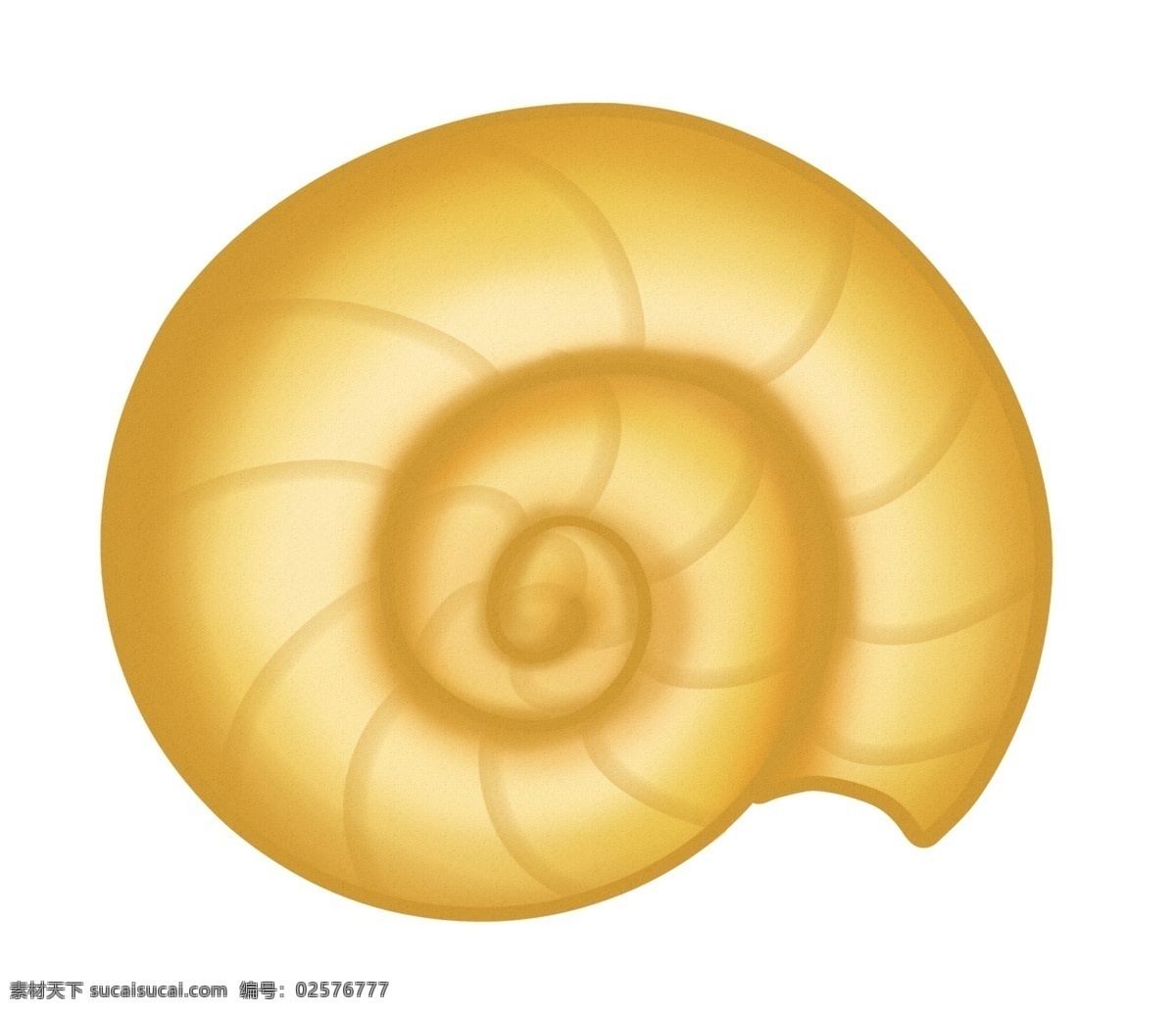 黄色蜗牛动物 外壳 黄色 蜗牛