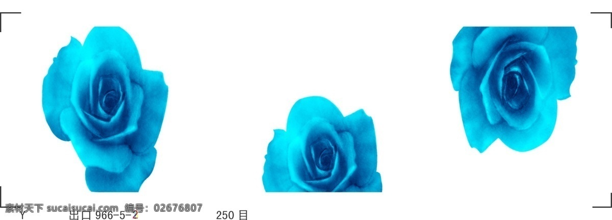 黄 玫瑰 腰线 黄玫瑰 陶瓷 psd源文件