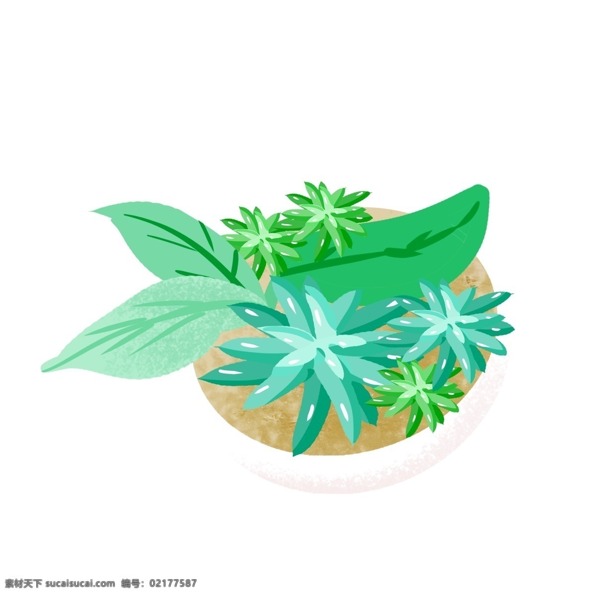 花卉 肉 小 盆栽 手绘 插画 复古 庆祝 植物 涂鸦 园艺免抠 小盆栽 多肉 快乐 欢乐 童心 童趣 简笔 绿植 速写