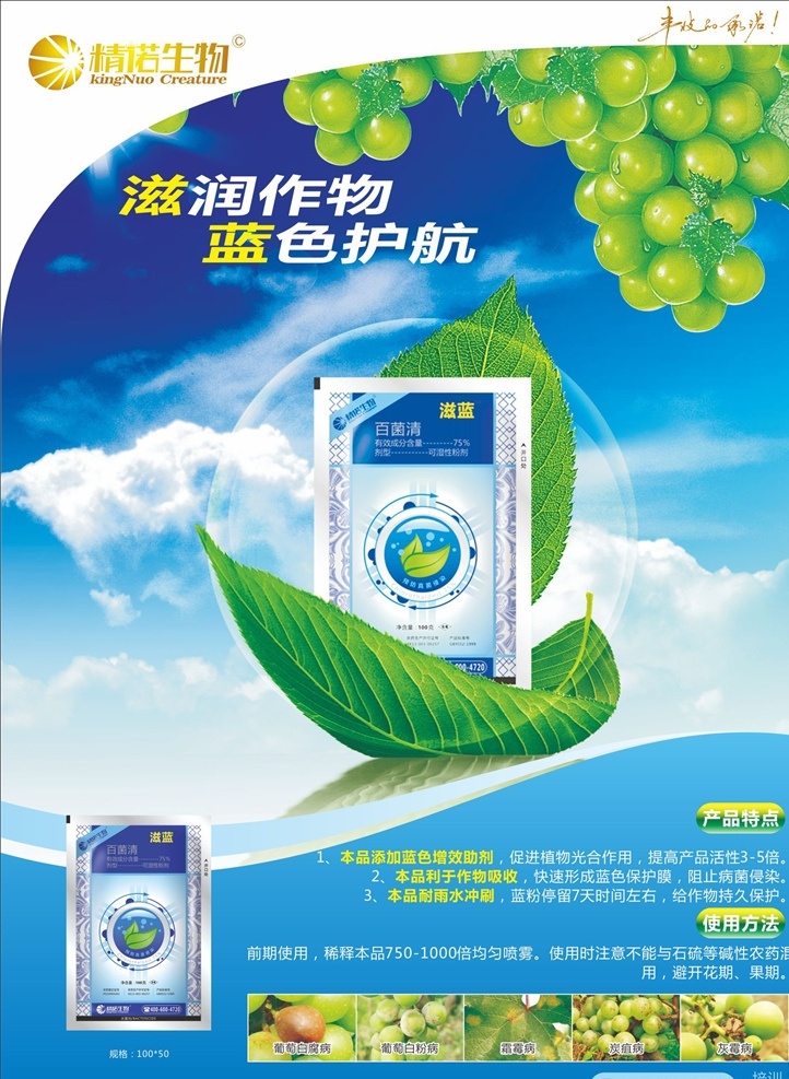 农药广告 葡萄版 滋蓝 生物科技 蓝色背景 叶子 蓝天白云 精诺生物 展板背景 葡萄