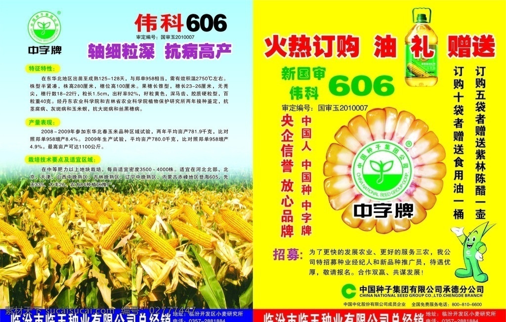 中国种业 玉米地 玉米 油壶 卡通玉米 介绍 cor 矢量