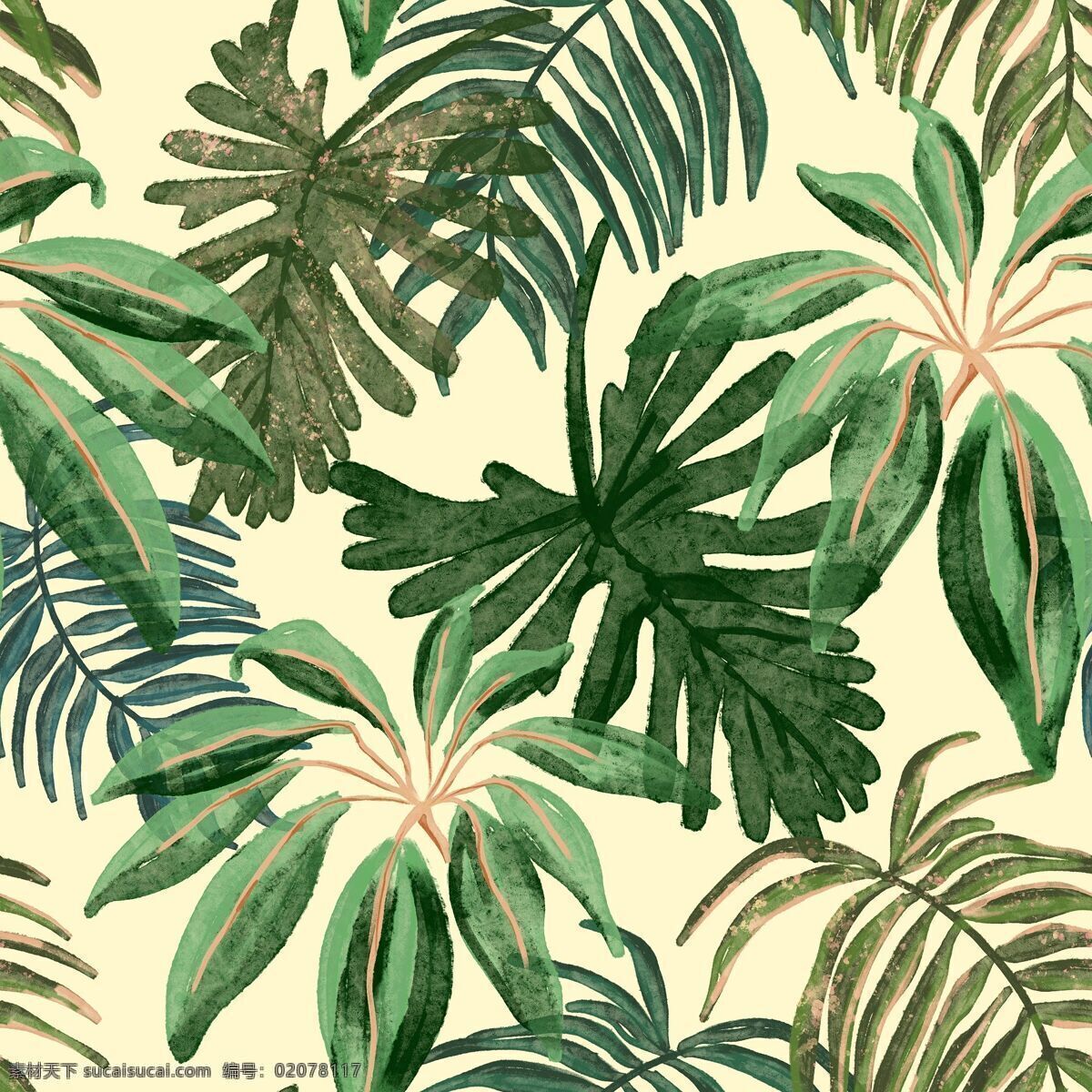 棕榈叶 热带 织构 壁纸 背景 纺织 自然 花纹 装饰性 插画 分享 底纹边框 花边花纹