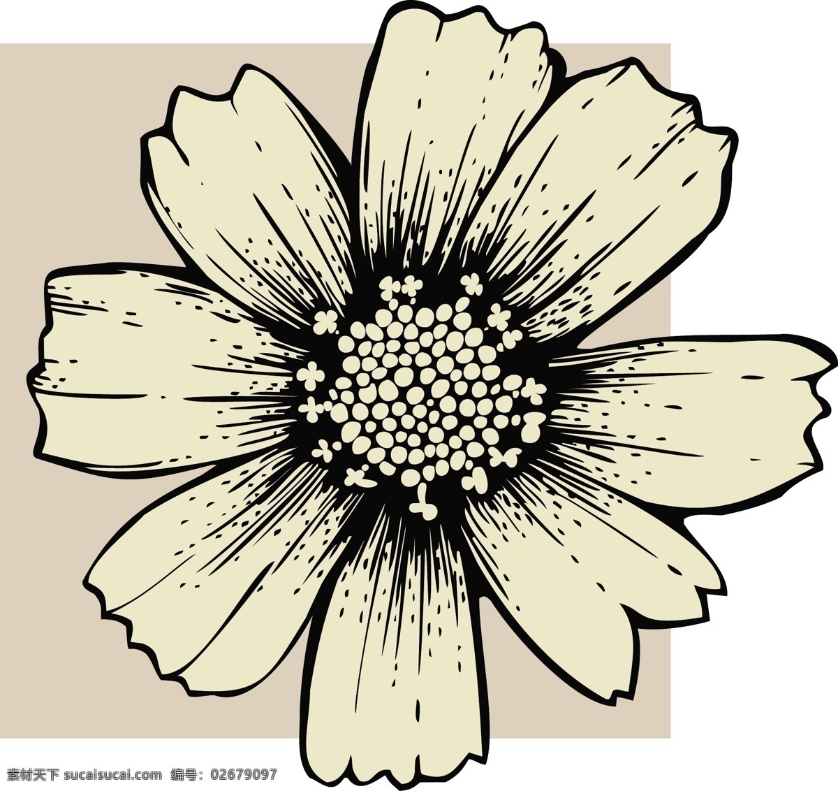 矢量 手绘 花卉 花纹 花 矢量素材 纹样 线稿 线条 矢量图 花纹花边
