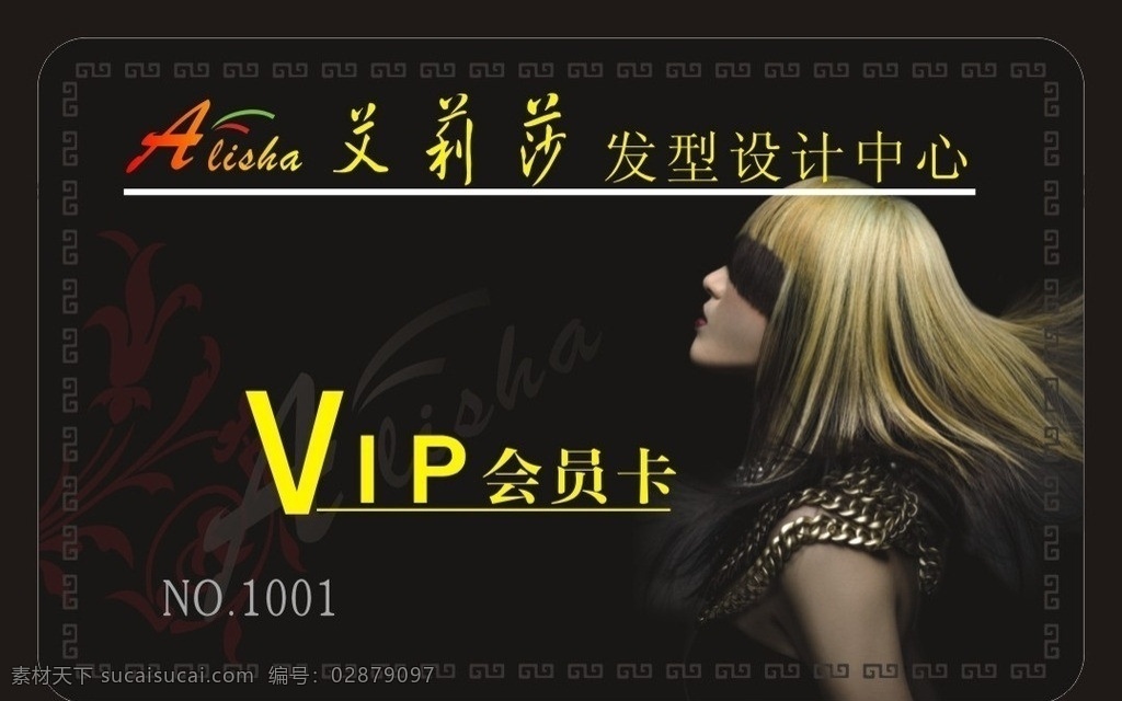 贵宾卡 vip卡 美发 艾莉莎 圆角pvc卡 名片卡片 矢量