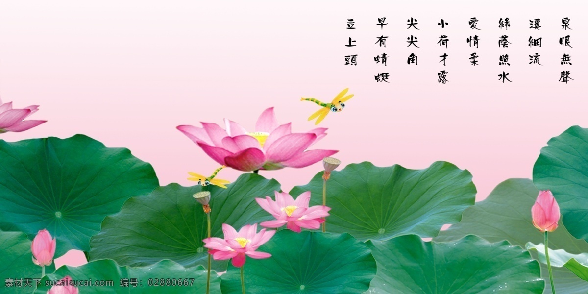 小荷才露尖尖角 分层 文件 源文件 psd源文件