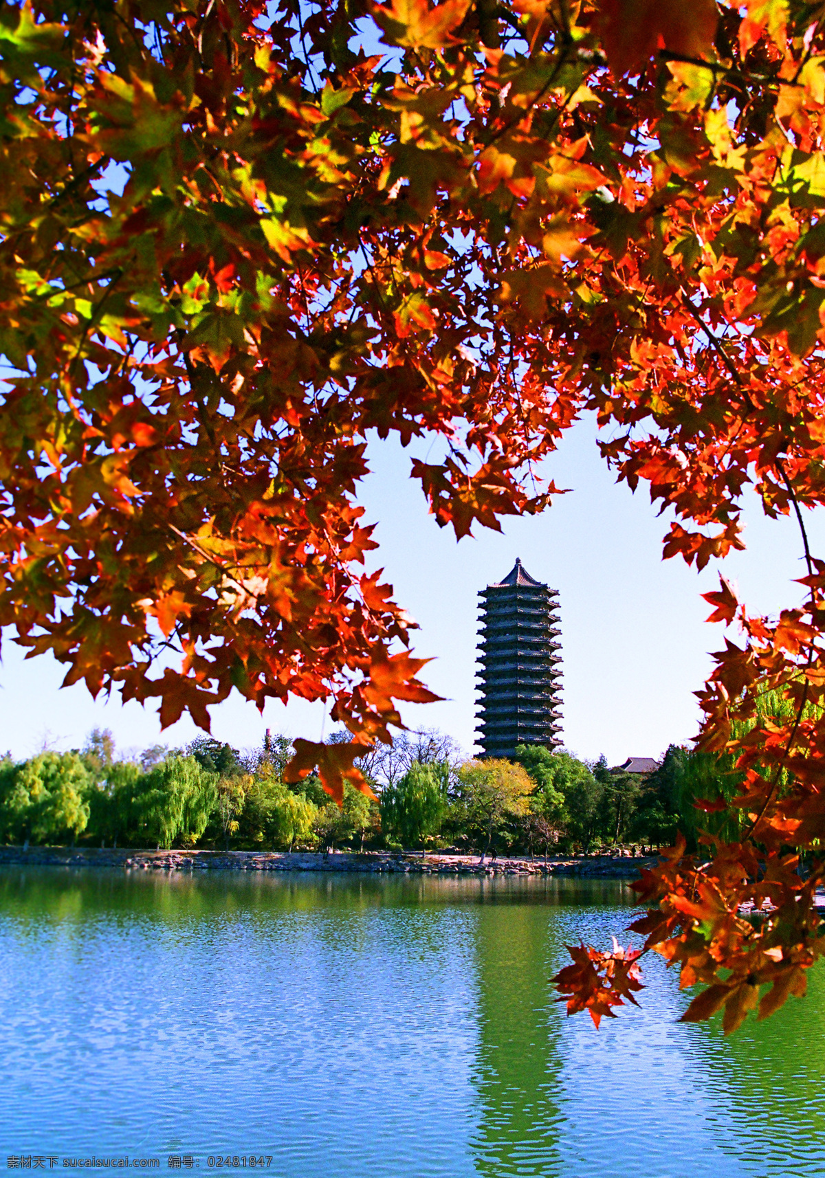 唯美 风景 风光 旅行 人文 北京 北京大学 北大 百年名校 高等学府 旅游摄影 国内旅游