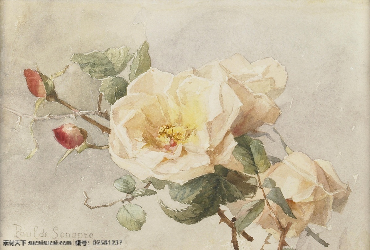 油画 数码印花 纸印花 花型 定位 画 花 手绘 肌理