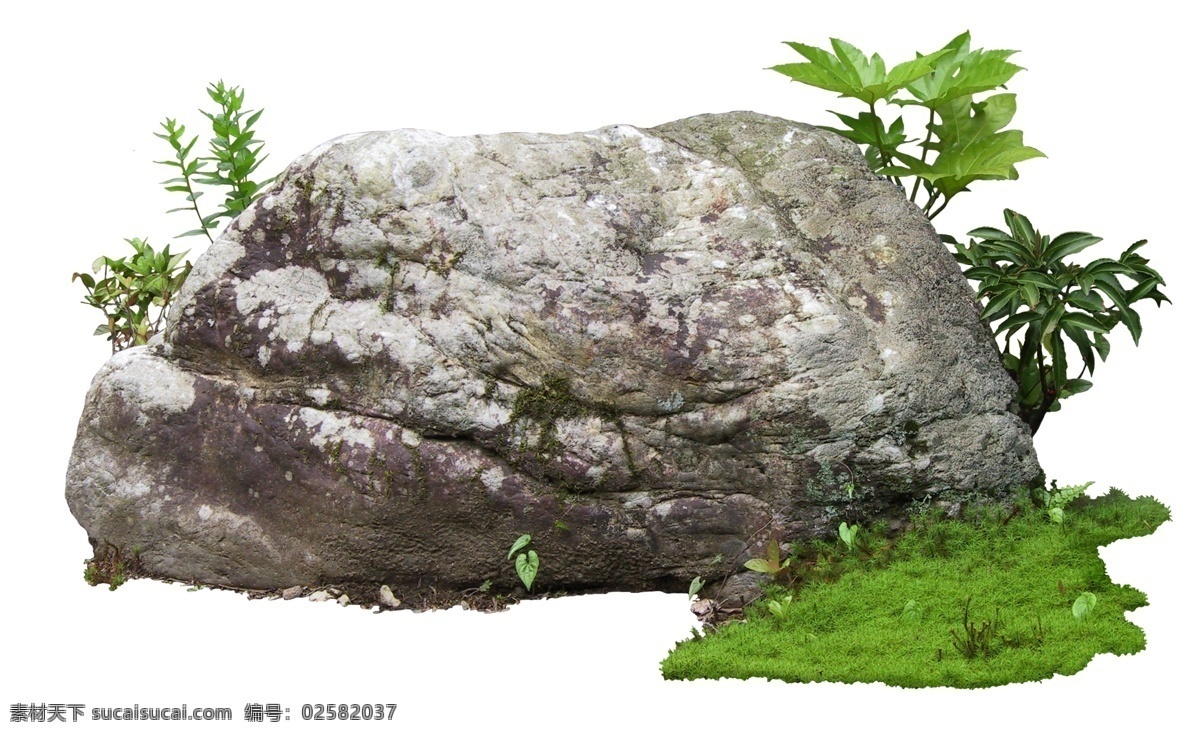 庭石头 园林 园艺 草丛 草堆 灌木 灌木丛 灌木林 花丛 花束 石头