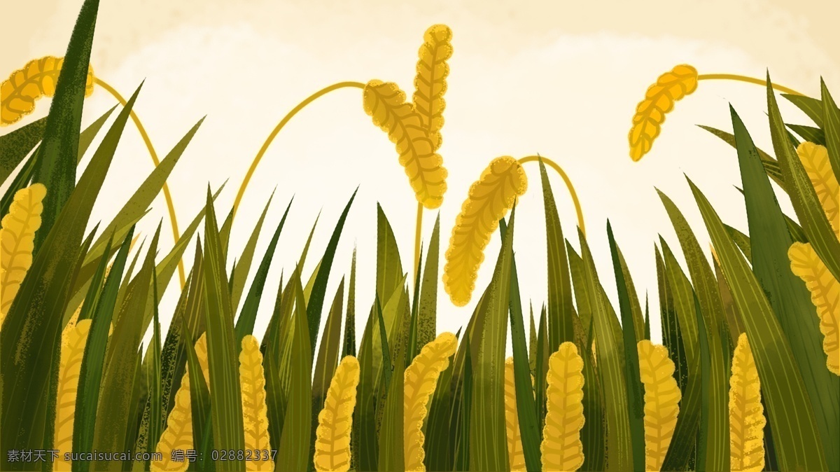 原创 节气 秋分 稻子 治愈 手绘 叶子 绿色 黄色 谷物