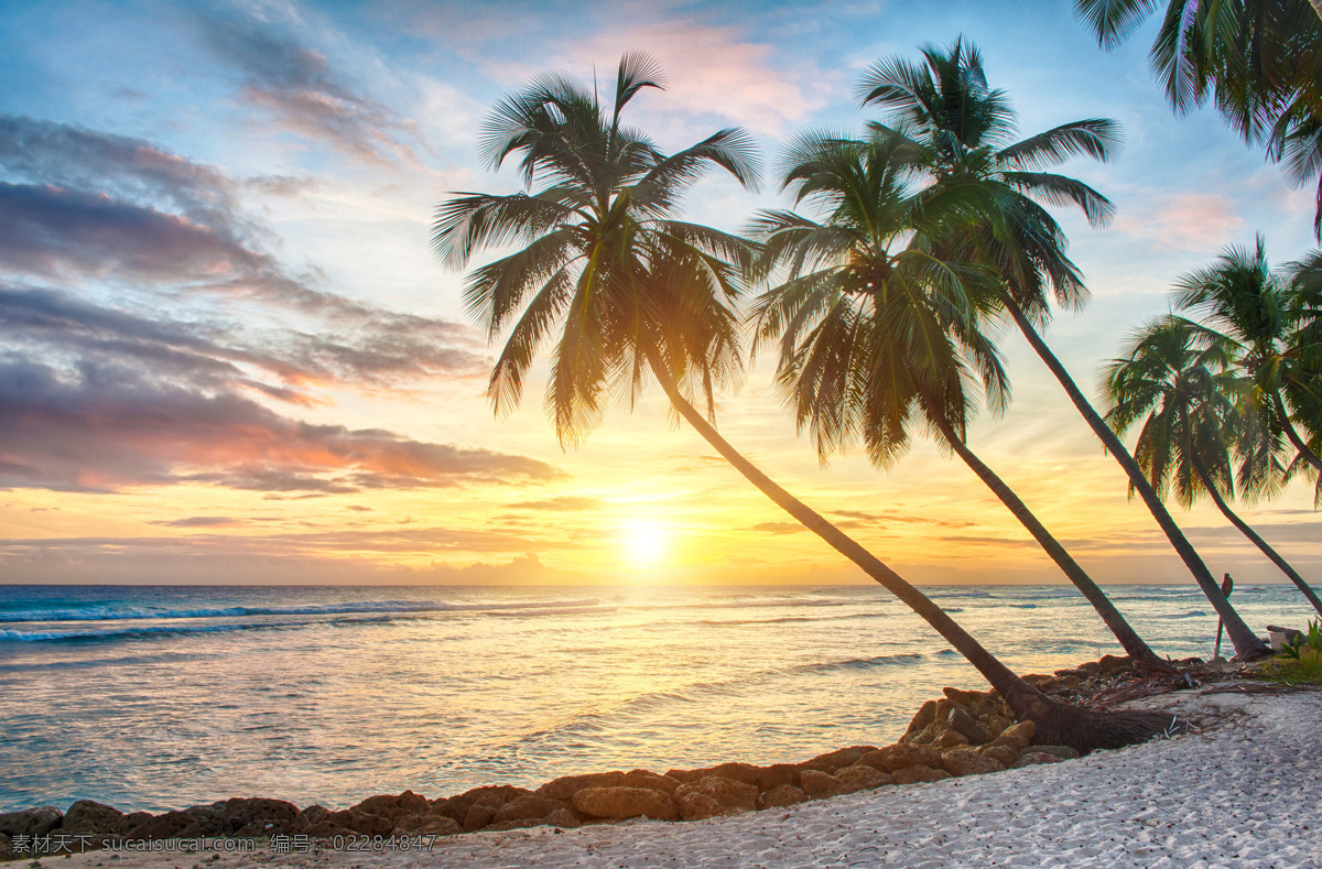 海边日出 唯美 海上日出 椰子树 树木 沙滩 阳光 曙光 海浪 大海 海上 海滩 沙子 唯美日出 风景图 自然风景 自然景观