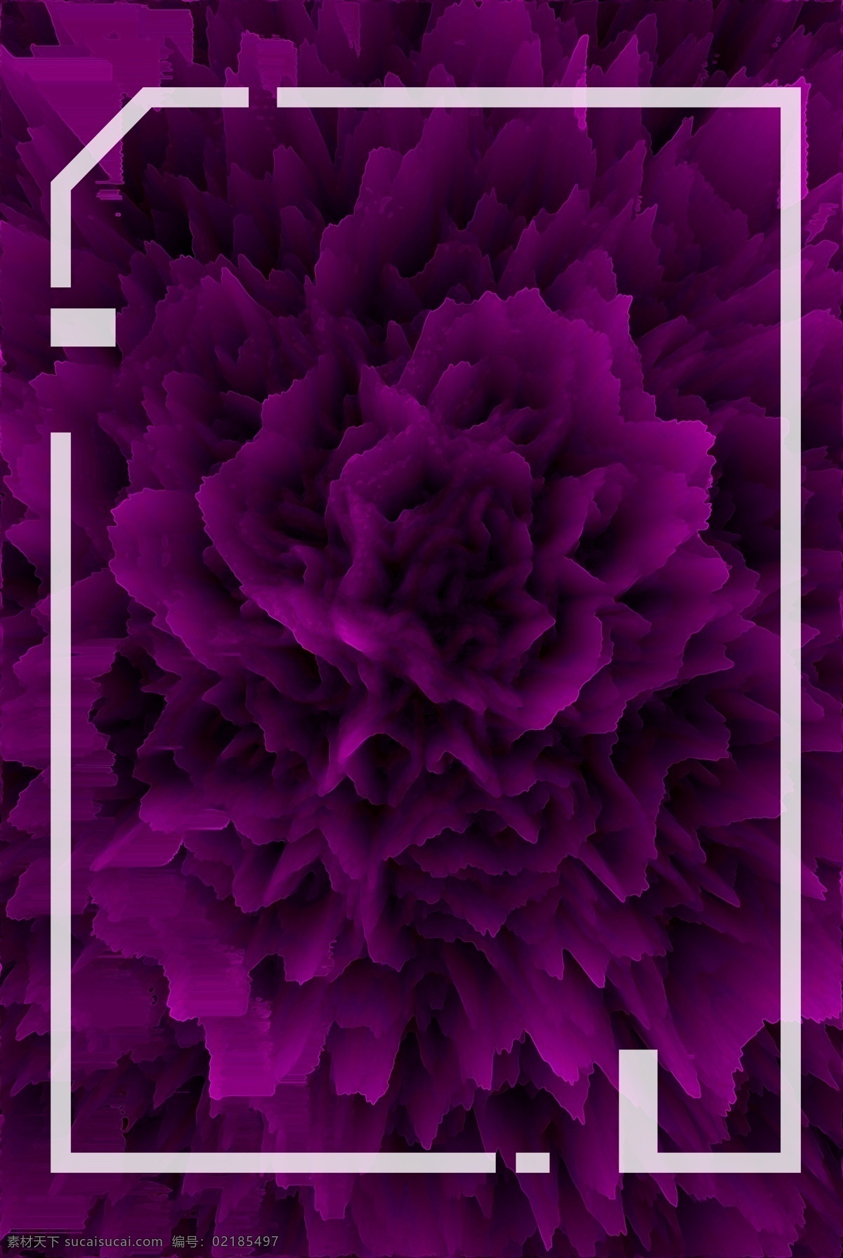 玫瑰 纹理 紫色 炫 酷 商用 海报 背景 h5 炫酷 商业