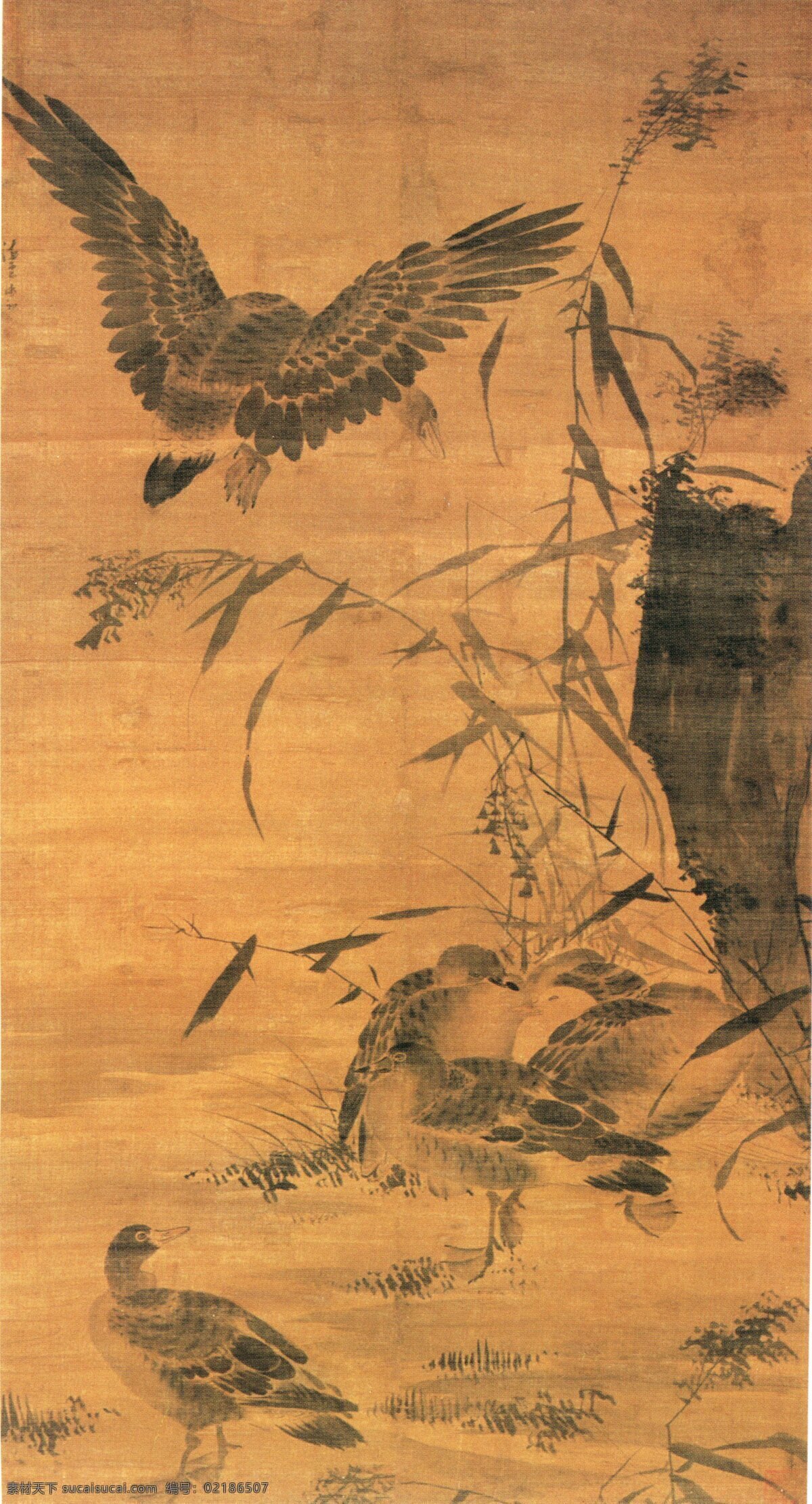 老鹰 鸳鸯 国画 芦苇 家居装饰素材 山水风景画