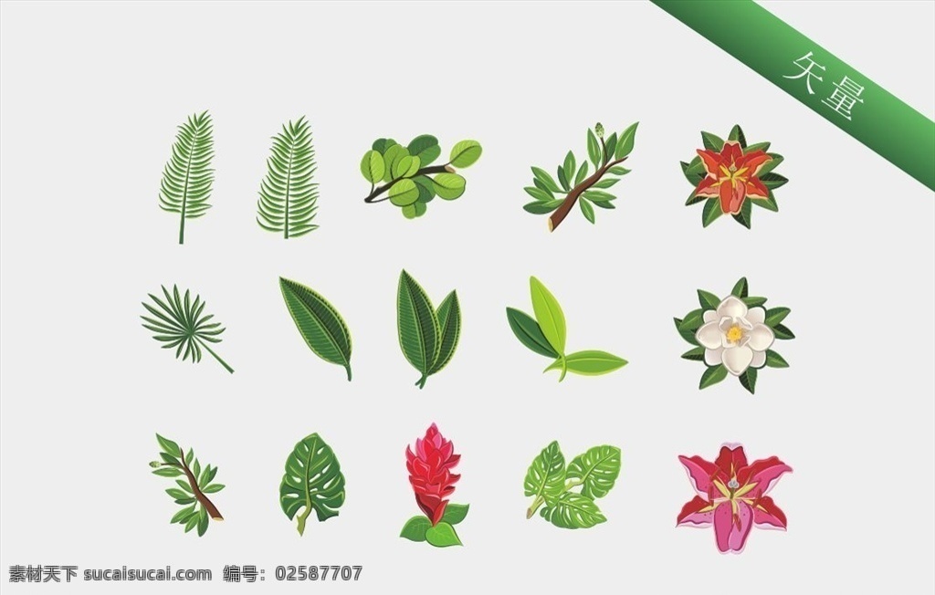 矢量树叶花朵 矢量树叶 矢量花朵 茉莉花 玫瑰花 矢量百合花 绿叶 树叶 树枝 芭蕉叶 矢量各种树叶 清新 环保 大自然 手绘树叶 叶子 图标素材