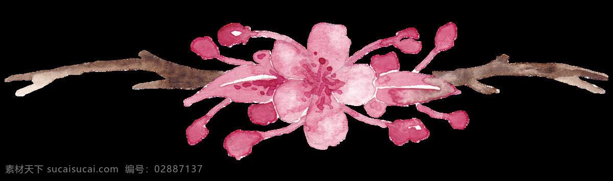 手绘 粉红色 樱花 装饰元素 粉色花朵 樱花素材 水彩画 红色树叶 卡通樱花 手绘樱花