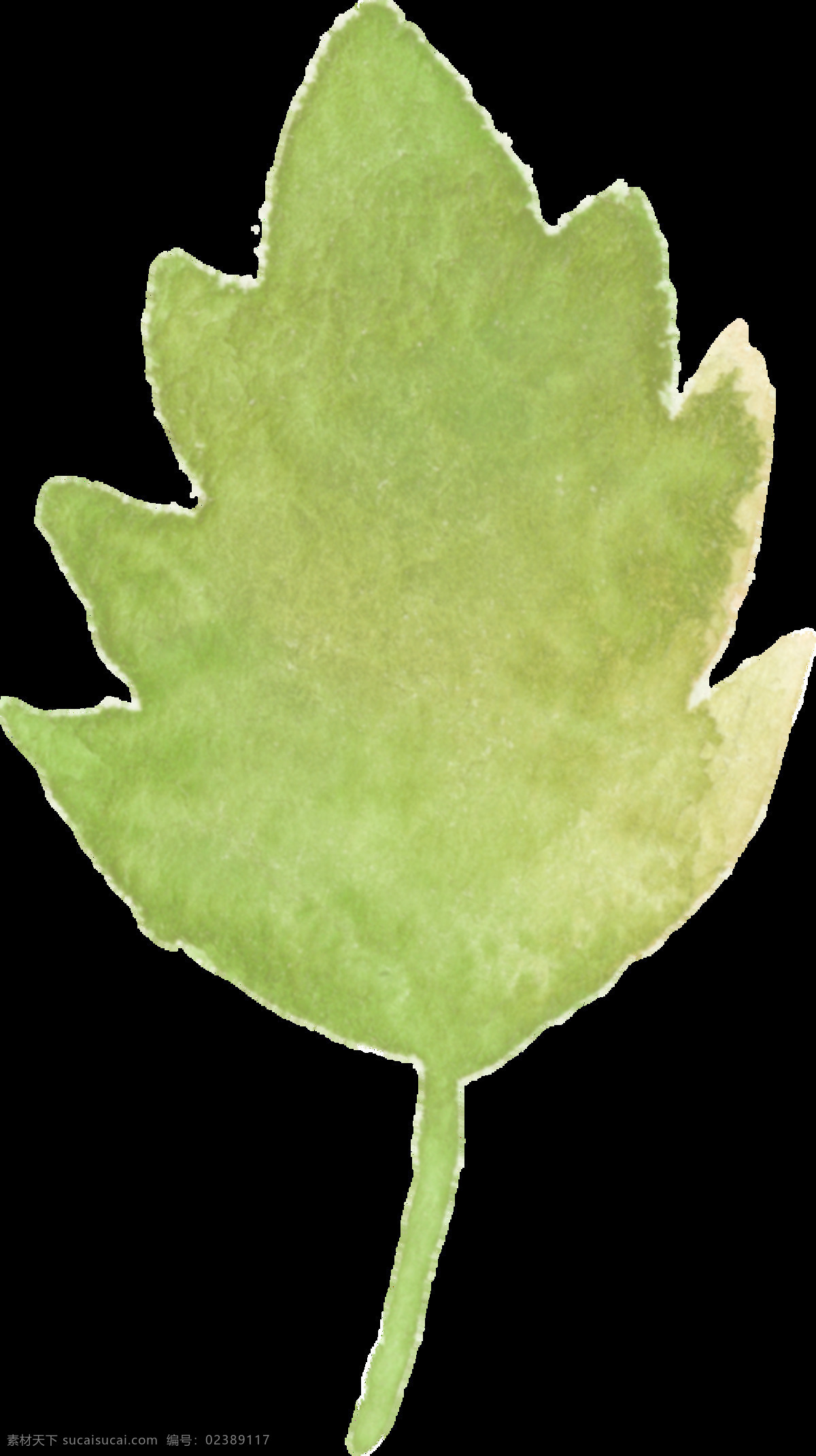 绿色 枫叶 透明 装饰 海报设计装饰 卡通 免扣 设计素材 水彩 淘宝素材 透明素材 装饰图案