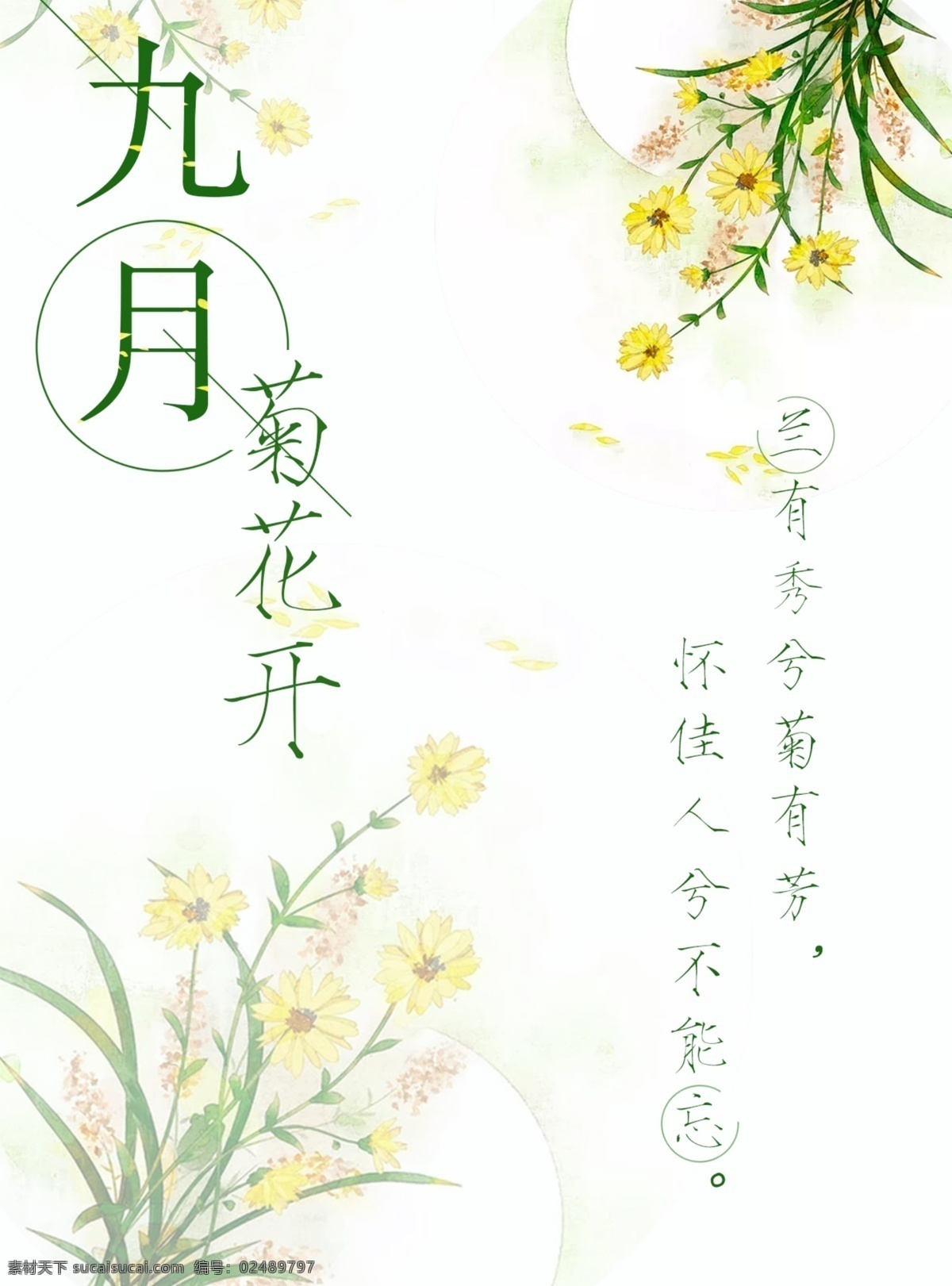 九月 手绘 风格 菊花 绿色 清新 海报 展板 节日