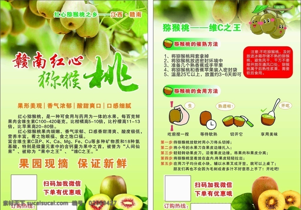 猕猴桃图片 猕猴桃 传单 单页 绿色 红心 食用方法 dm宣传单