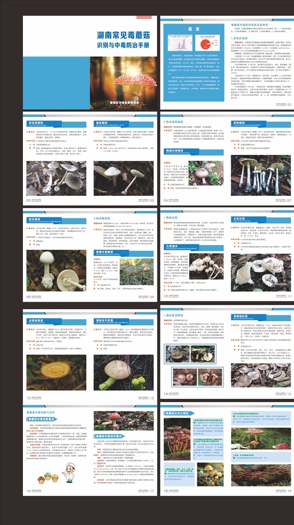 毒 蘑菇 识别 手册 毒蘑菇 食品安全 安全用药 用药安全 食品安全宣传 中毒防治手册 中毒 彩色蘑菇 毒蘑菇大全 画册 画册设计