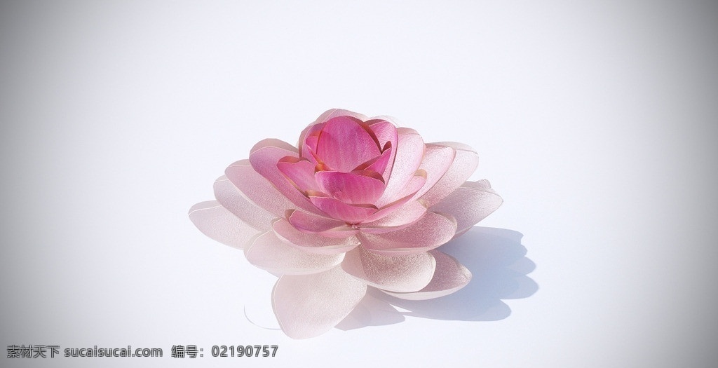 荷花 花模型 草 石头 岩石 花 植物 灌木 模型 美丽 花朵 草丛 展示模型 3d设计模型 源文件 max