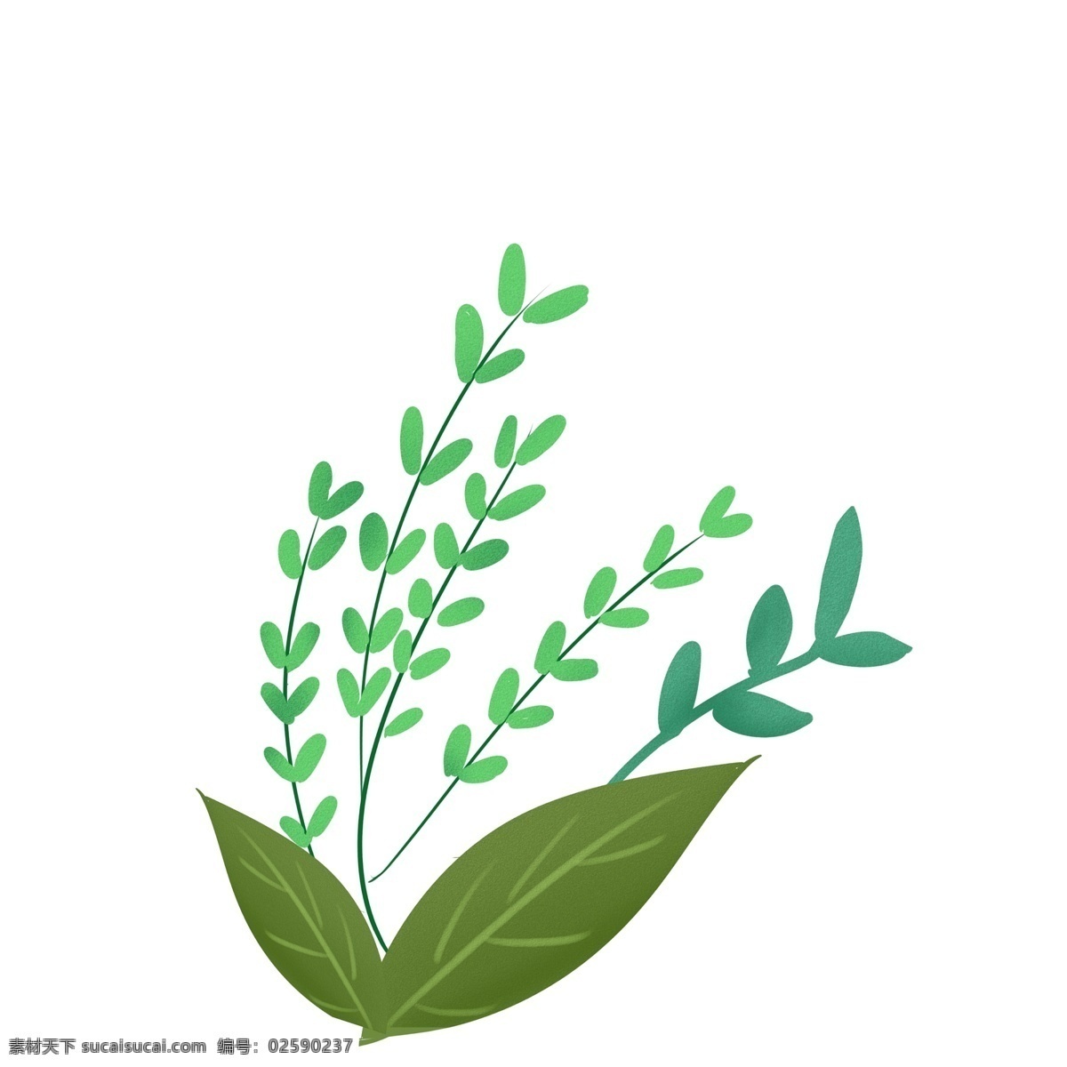 绿色 树叶 植物 手绘 绿叶 大自然 插画 可爱 小清新 装饰 背景装饰 边框设计