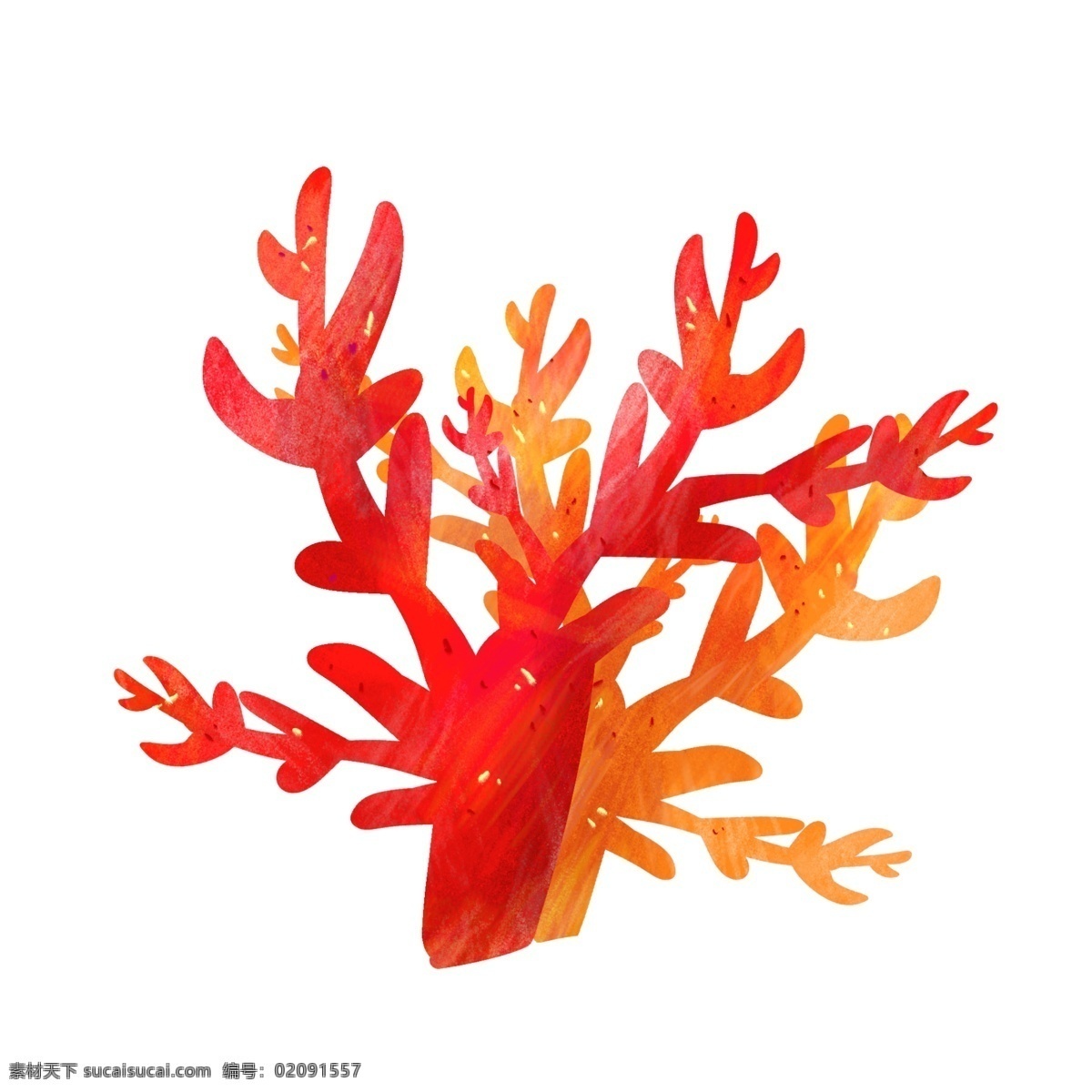 红色水生珊瑚 精美 红色 珊瑚