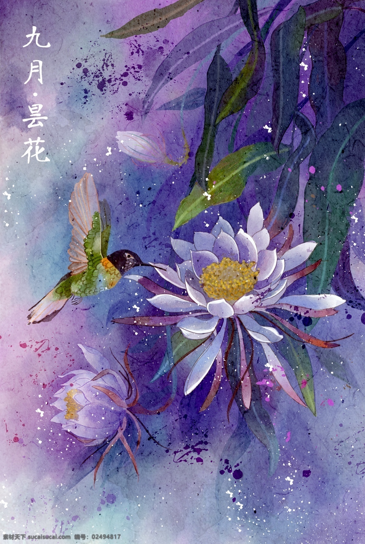 大气 国 潮 风 花鸟画 国潮风 手绘 水彩 花鸟 花仙子画 十二月花信 插画 海报背景 油画 水彩画 精美 鲜花 鸟雀 图案 传统 中国风 风景 抽象 昙花栀子花 文化艺术 绘画书法