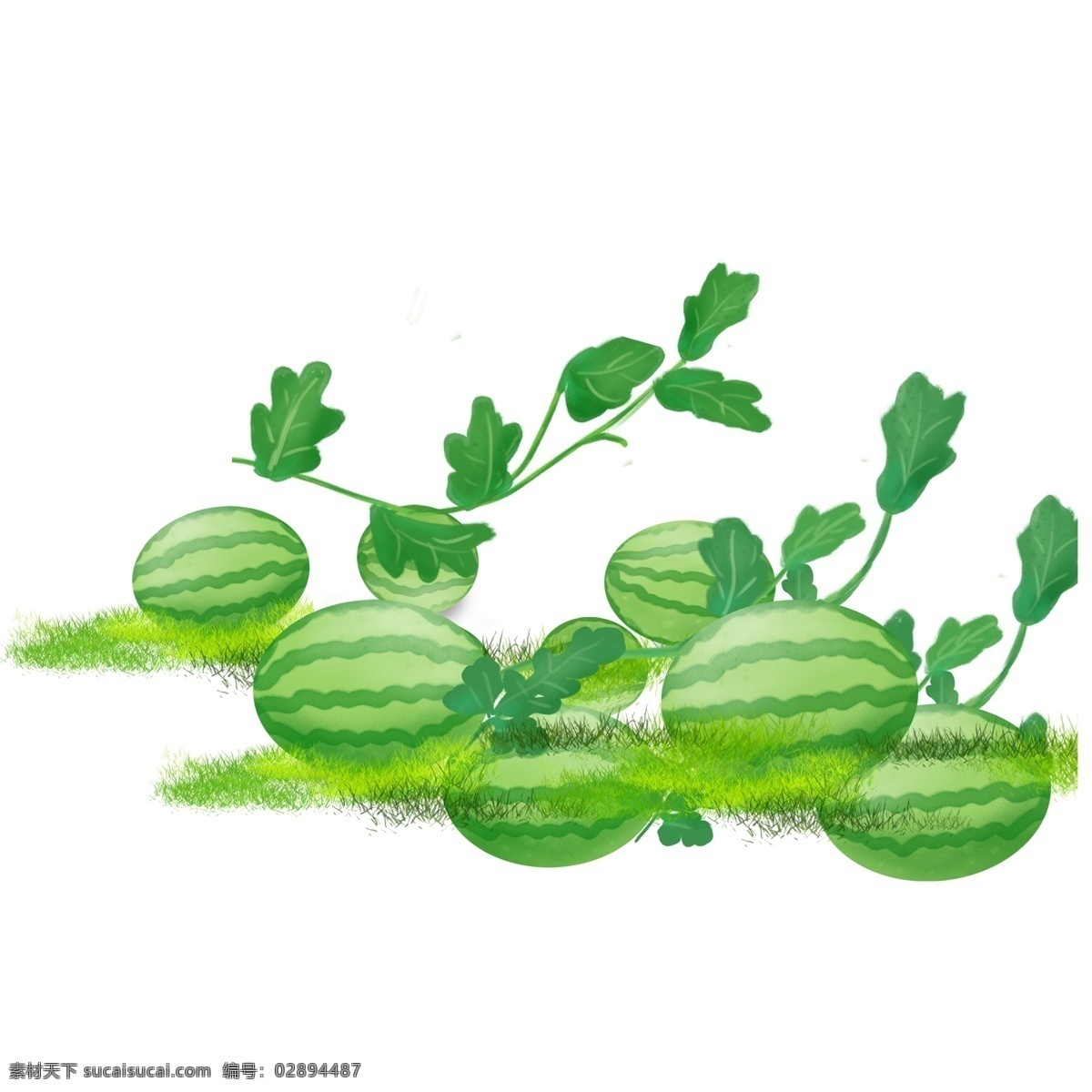 夏日 西瓜 植物 装饰 绿色 卡通 彩色 小清新 创意 手绘 绘画元素 现代 简约 图案