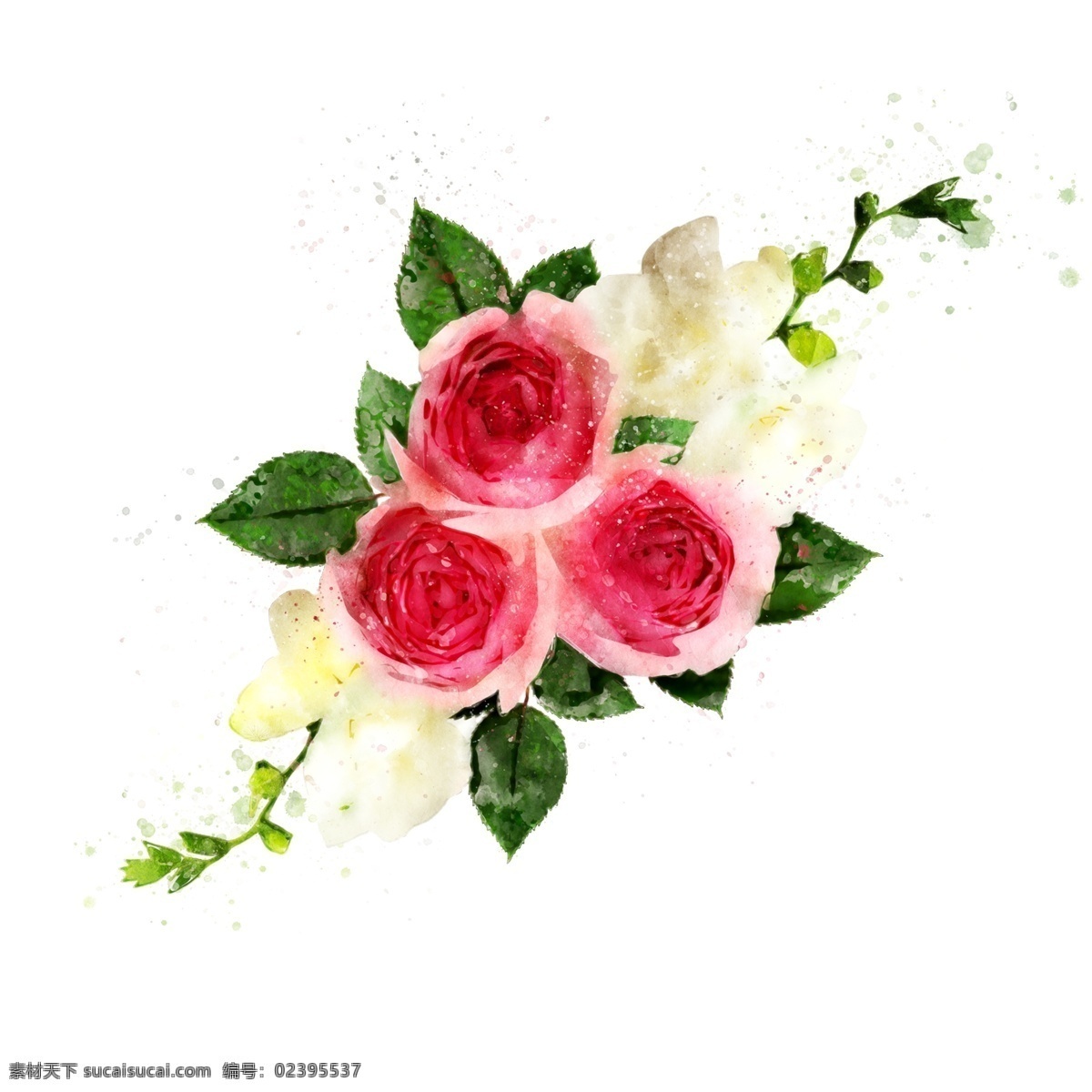 手绘 花卉 玫瑰红色 植物 水彩 元素 原创 红色 植物元素 玫瑰