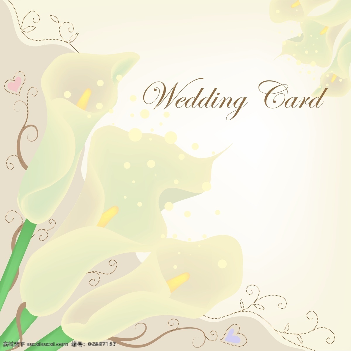 贺卡 封面设计 白 百合 百合花 贺卡封面 花卡 花纹 花纹边框 精美信纸 免费 矢量图 名片 明信片 唯美 书签 名片卡 其他名片
