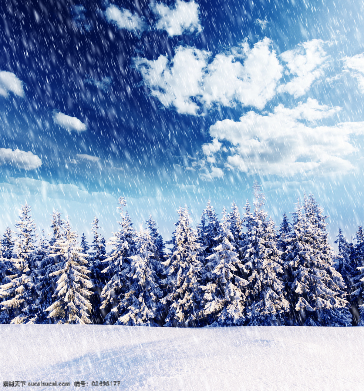 冬季 下雪 冬天 雪景 美丽风景 景色 美景 积雪 雪花 天空 雪地 森林 山水风景 风景图片