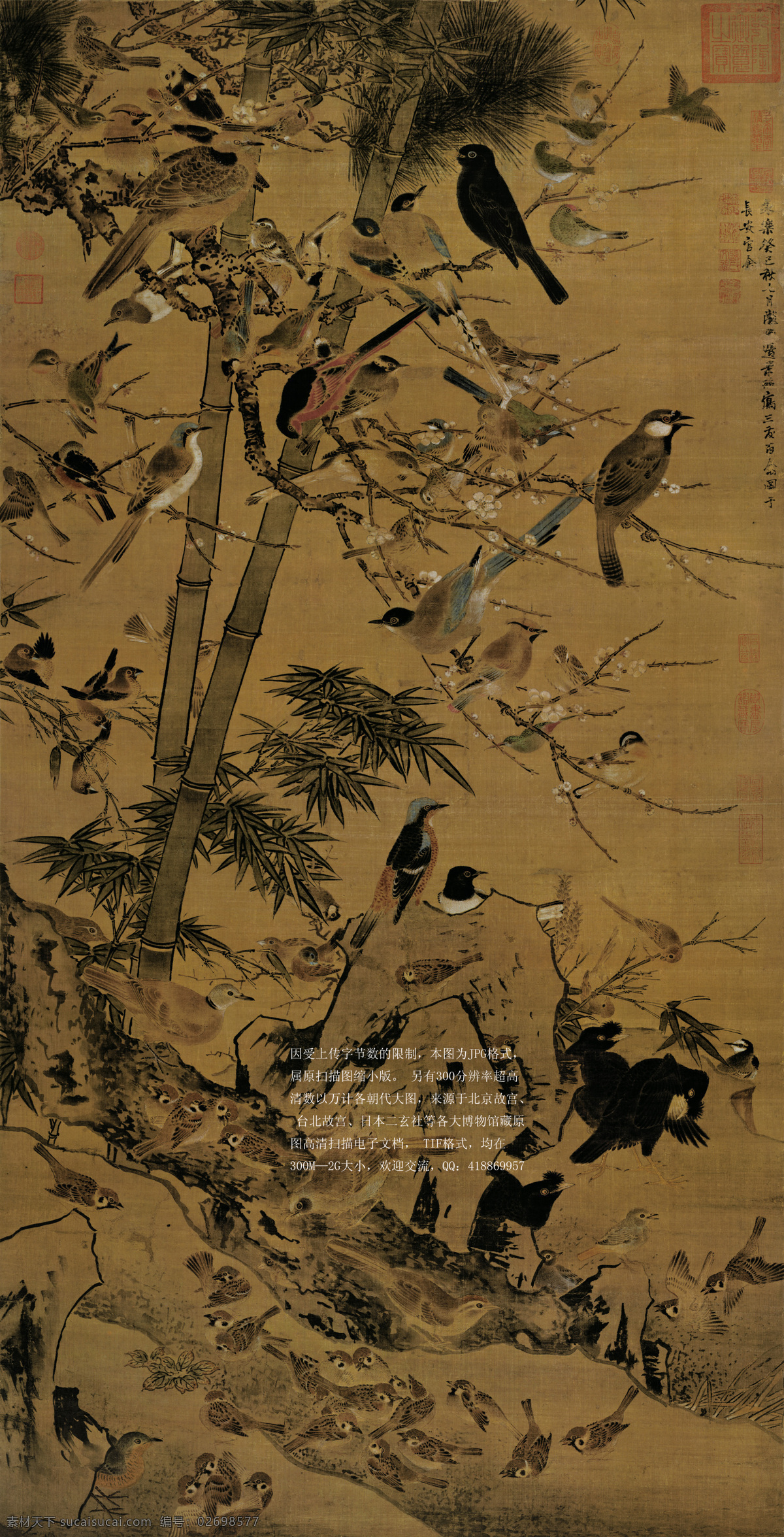 明 文 进 三友 百 禽 轴 国画 古画 高清 原大 边文进 百禽 图 绘画书法 文化艺术