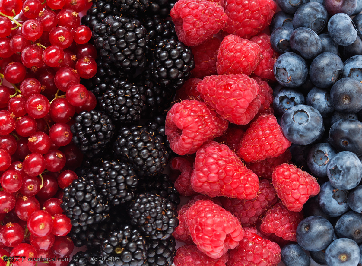 水果 沙棘果 桑椹 树莓 蓝莓 水果图片 餐饮美食