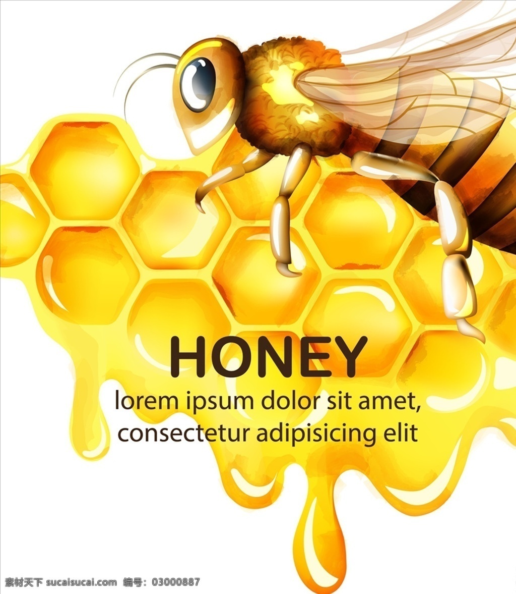 小蜜蜂 蜜蜂蜂蜜素材 蜜蜂素材 蜜蜂 蜂蜜素材 蜂蜜 蜜糖 蜂巢 蜂窝 底纹边框 其他素材