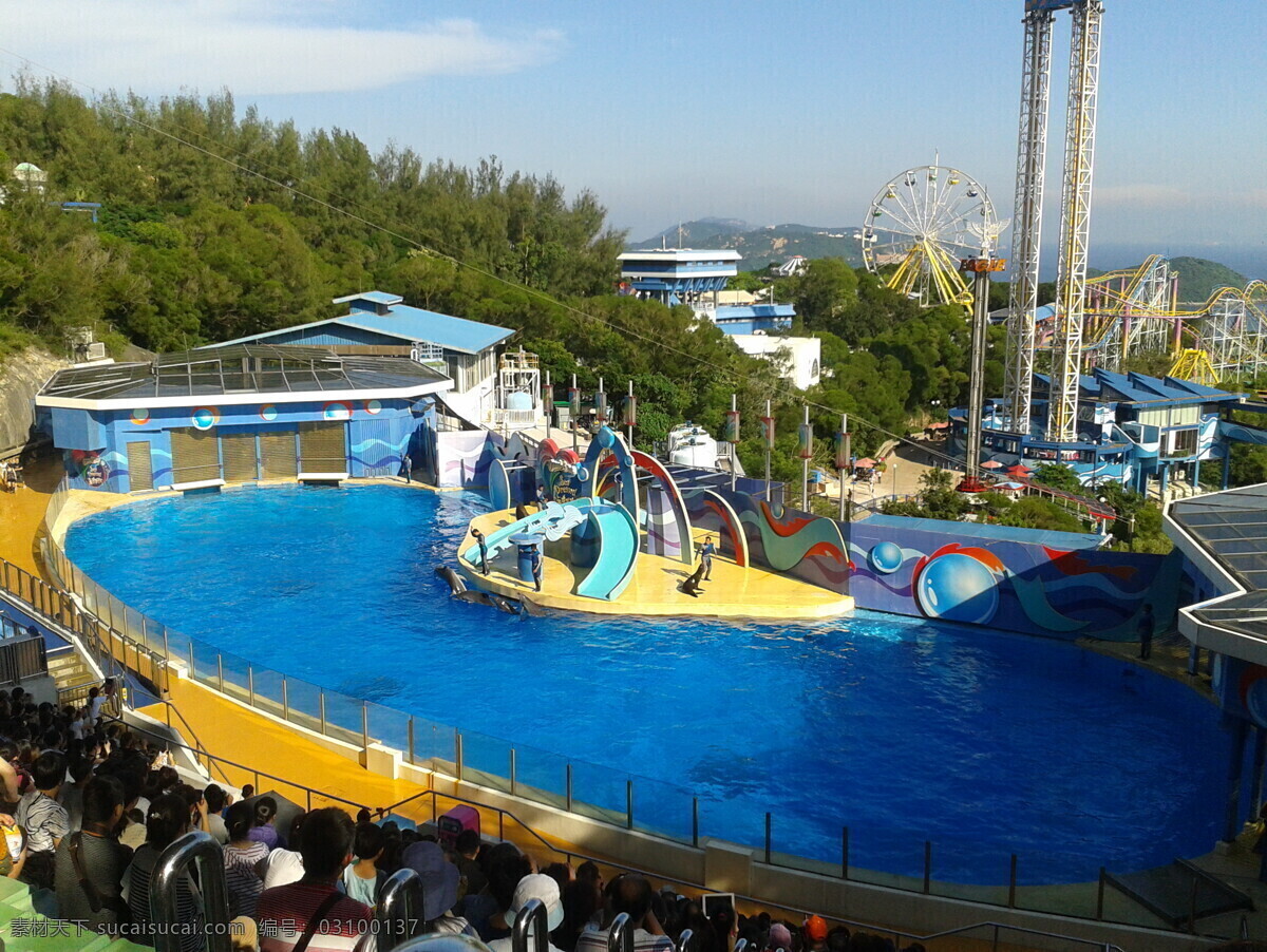 儿童节 国内旅游 海豚 旅游摄影 香港 香港海洋公园 海狮 海洋公园 节日素材 六一儿童节