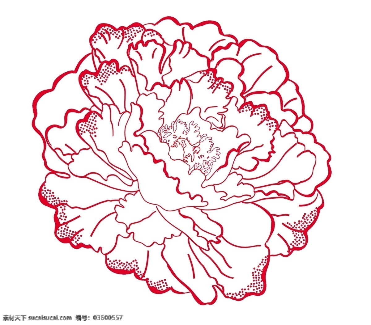 牡丹花 线条牡丹花 线条花 花 线条花朵 分层