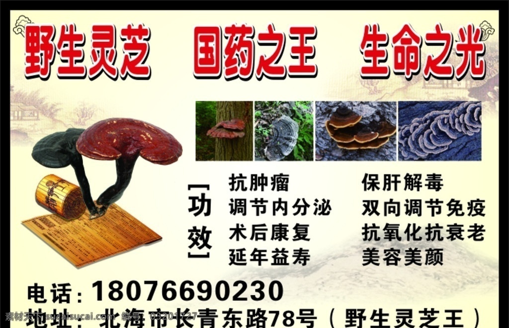 灵芝 野生灵芝 中药广告 灵芝作用图 灵芝片 灵芝素材 挂画 灵芝用药 灵芝宣传单 灵芝海报 灵芝茶 灵芝价目表 中药灵芝草药 灵芝吃法 灵芝中医 促销 双11 国庆活动 五一 元旦 超市活动 盛大开业 名片底板 名片设计 开张了 钜惠全城 中国风