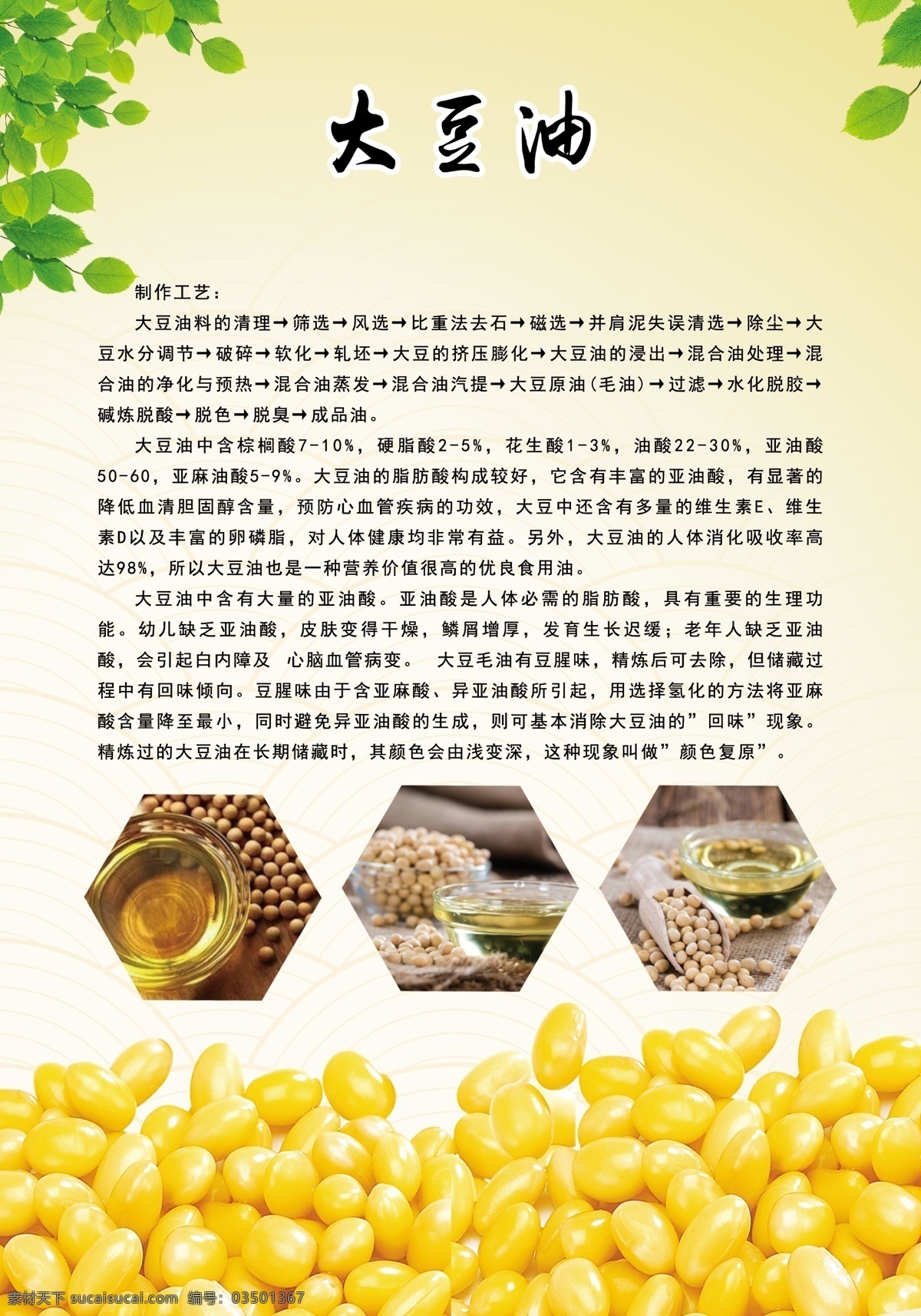 大豆油简介 简介 介绍 豆油 大豆 大豆油 非转基因 转基因 分层