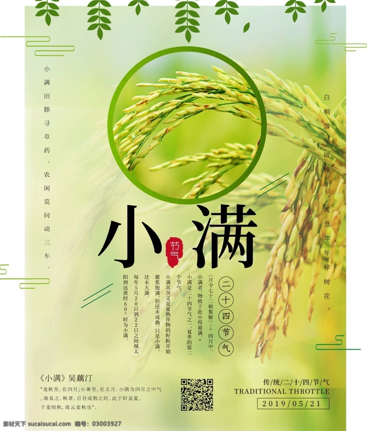 小满 中国 节气 传统 海报 小麦 春天