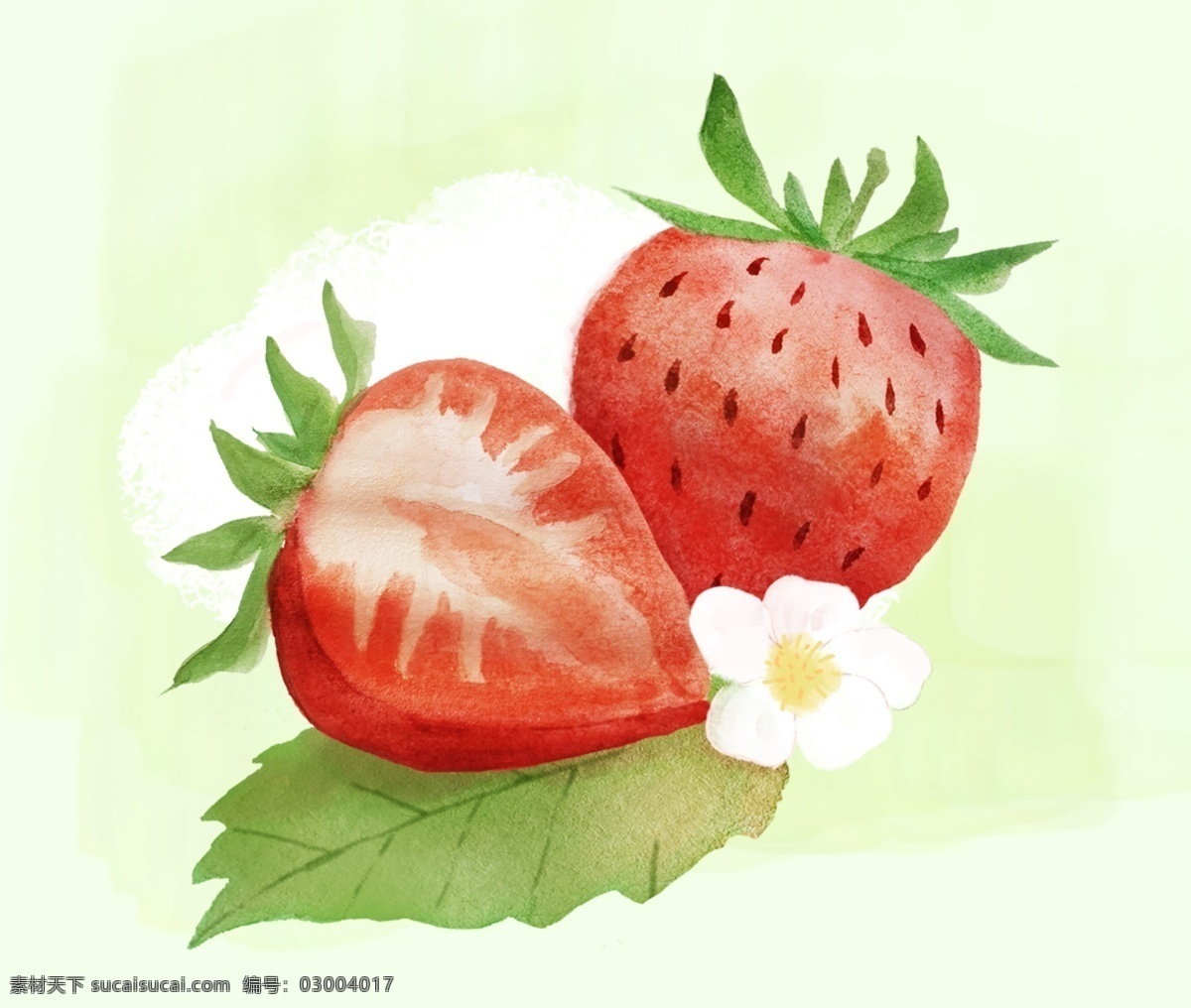 两个草莓 草莓 水果 植物 春季水果 网红水果 水彩画 水彩水果 插画 儿童插画 半个草莓 草莓花 生物世界