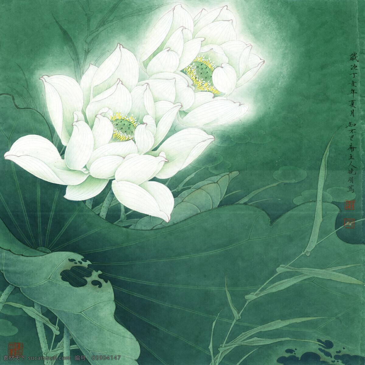 圣洁之花 花鸟画 设计素材 花鸟画篇 中国画篇 书画美术 白色