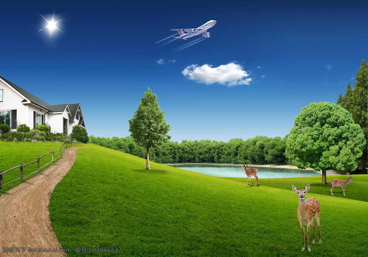 草地 上 鹿 天空 飞机 小鹿 背景图片