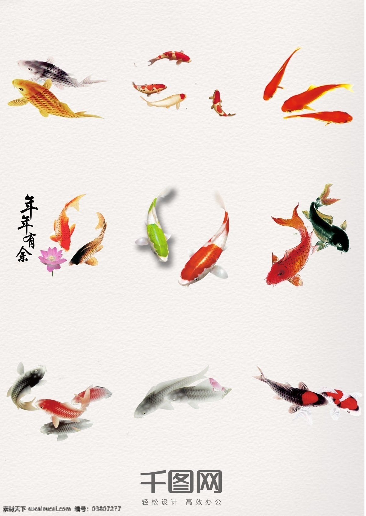 中国 风 水墨画 年年 鱼 精美 中国风 年年有鱼 高清素材